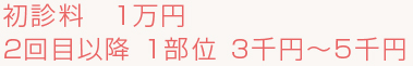 初診料　1万円・2回目以降 1部位 3千円～5千円